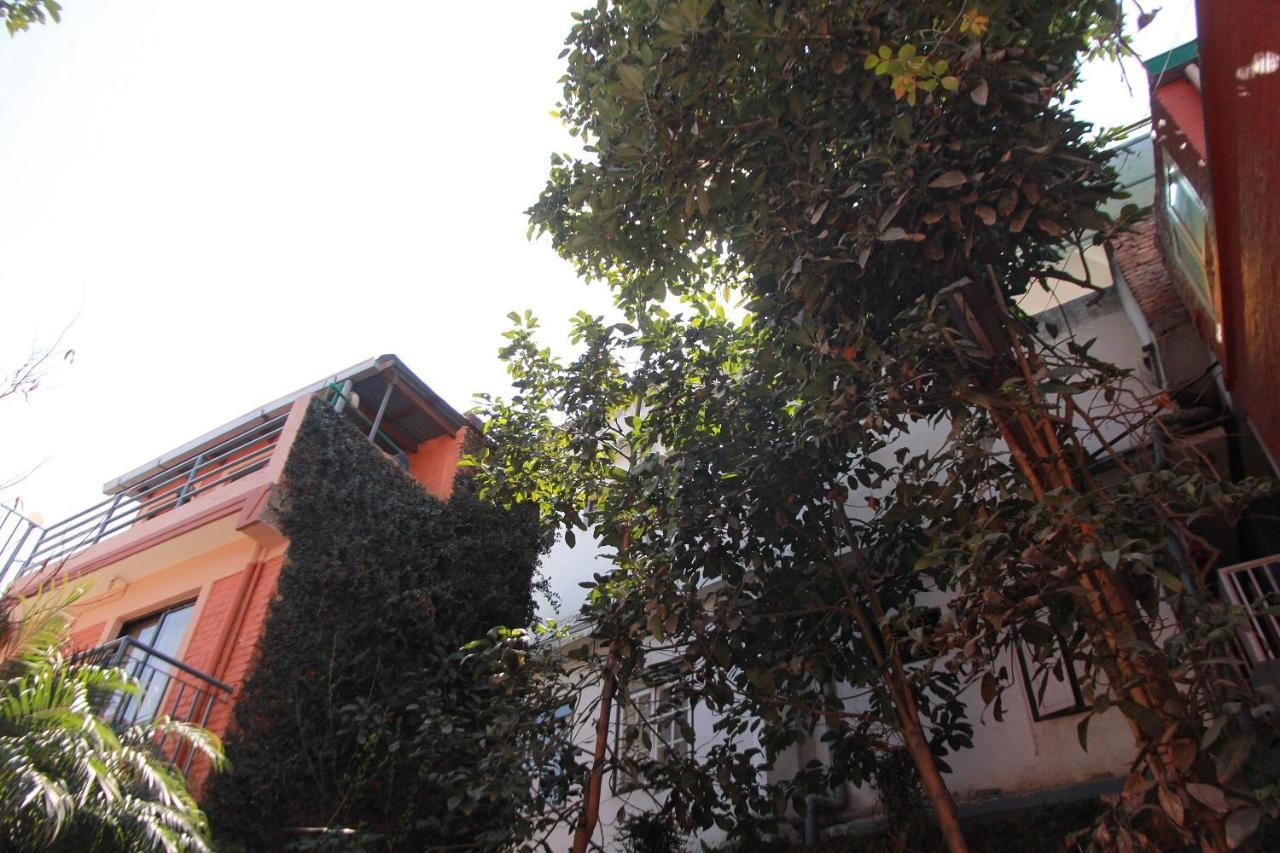 Ojas Wellness B&B Lalitpur Exterior photo